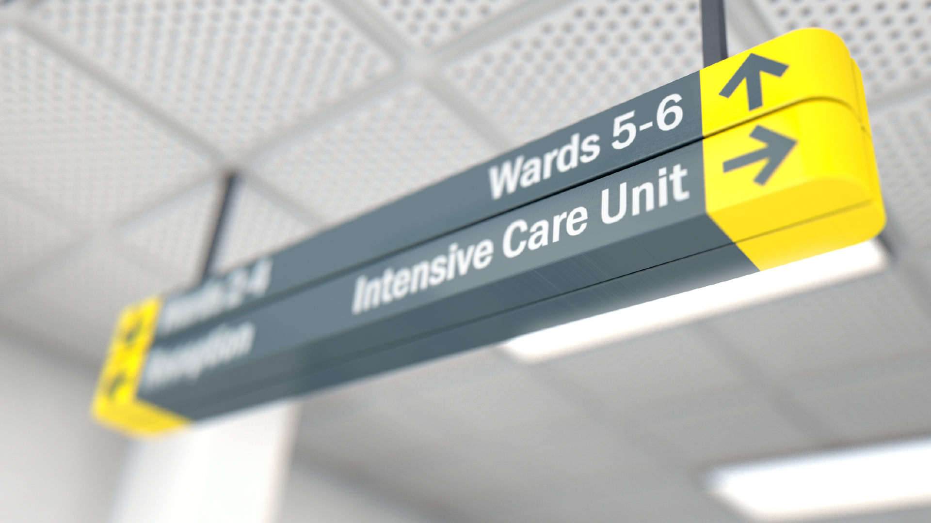 Infections in intensive care